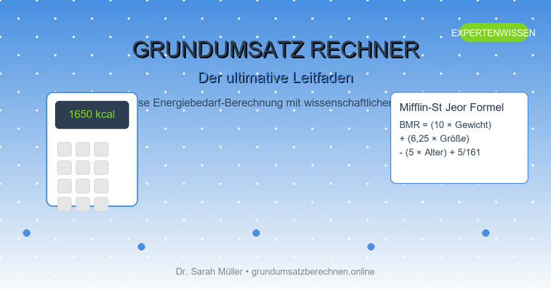 Grundumsatz Rechner Leitfaden
